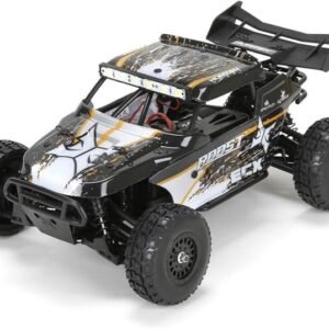 Horizon ECX Roost desert buggy